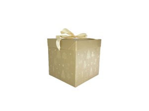 CAIXA DE PRESENTE 15X15CM  - CD2467