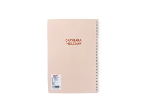 Caderno 70 folhas a5 mj2470-43 