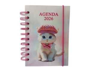Agenda espiral 168 folhas sxfs-14394 