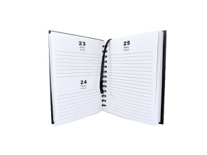 Agenda espiral 168 folhas sxfs-14383