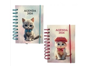 Agenda espiral 168 folhas sxfs-14385 